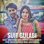 Suit Gulabi