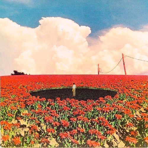THE SUNNY SIDE OF DEATH
