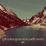 তুমি হাজার ফুলের মাঝে একটি গোলাপ