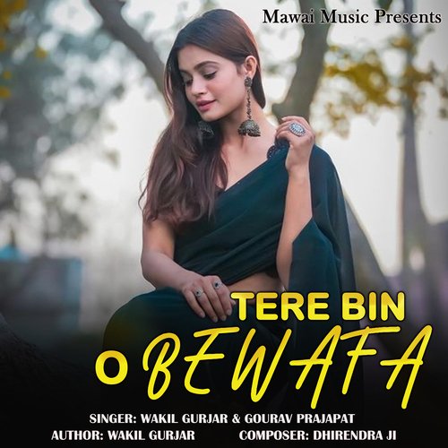 Tere Bin O Bewafa