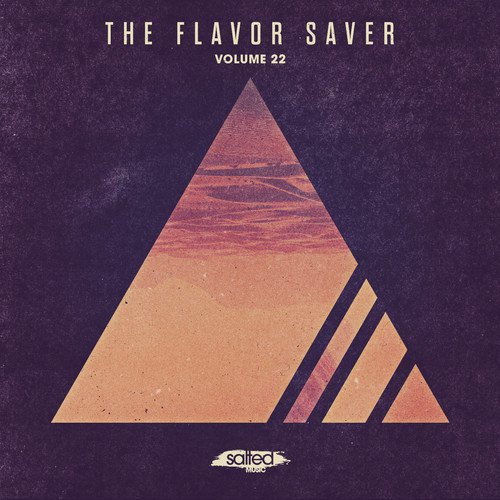 The Flavor Saver, Vol. 22_poster_image