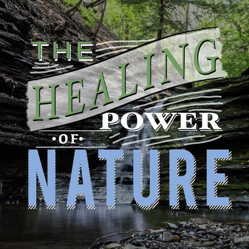 The Healing Power of Nature_poster_image