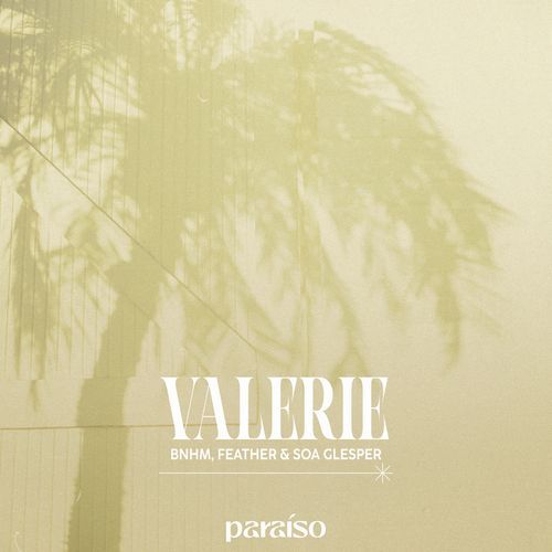 Valerie_poster_image