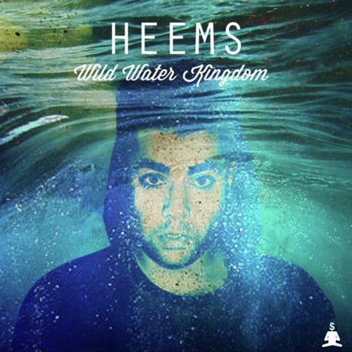 Himanshu Freestyles cover art