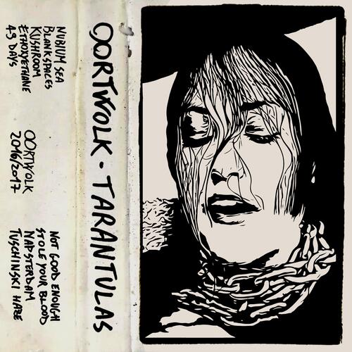 kushroom cover art