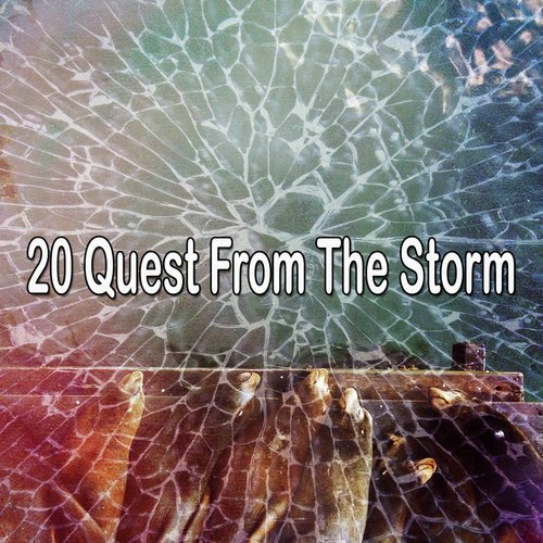 20 Quest from the Storm_poster_image