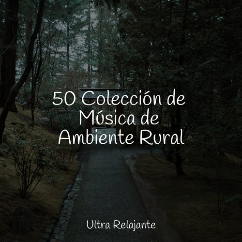 50 Colección de Música de Ambiente Rural