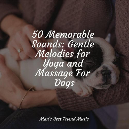 50 Memorable Sounds: Gentle Melodies for Yoga and Massage For Dogs