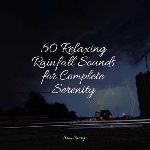 50 Relaxing Rainfall Sounds for Complete Serenity_poster_image