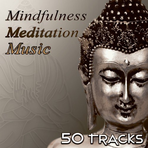 50 Tracks Mindfulness Meditation Music - Healing Sounds of Nature for Zen Meditation, Sleep Therapy, Serenity, Yoga, Spa, Massage, Reiki, Meditation for Beginners, Relax_poster_image