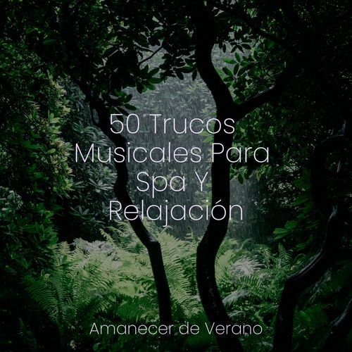 50 Trucos Musicales Para Spa Y Relajación_poster_image