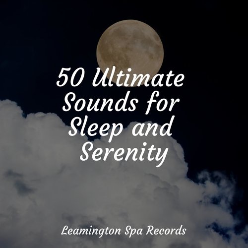 Meditating Music cover art