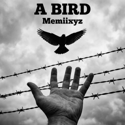 A Bird