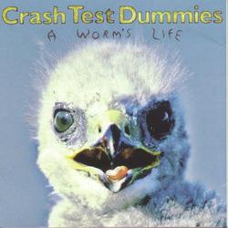 Crash Test Dummies