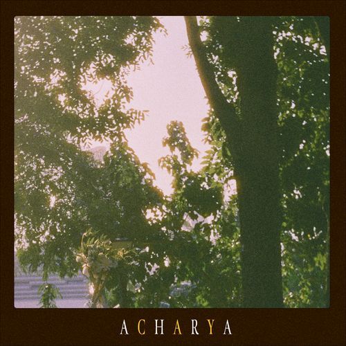 Acharya cover art