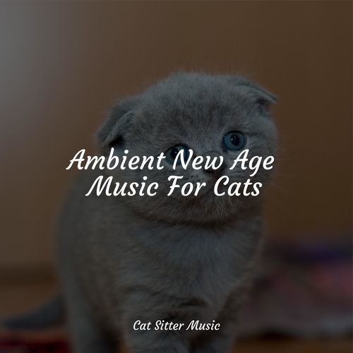 Ambient New Age Music For Cats_poster_image