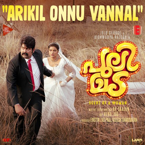 Arikil Onnu Vannal (From "Pulimada")