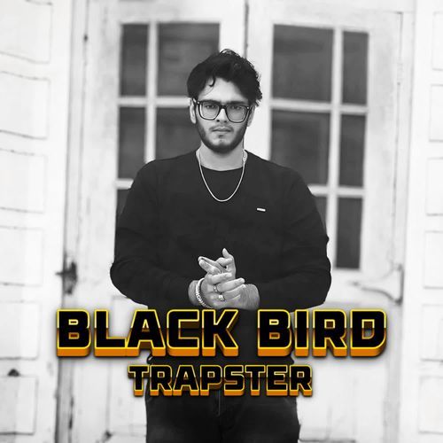 BLACK BIRD