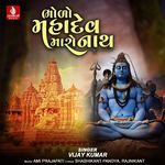 Bholo Mahadev Maro Nath