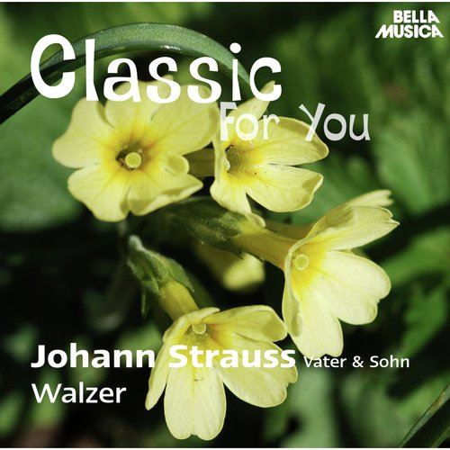 Classic for You: Strauss: Walzer