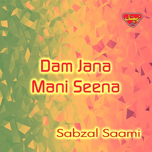 Dam Jana Mani Seena_poster_image