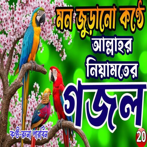 Ei Je Duniya Kisher O Lagiya