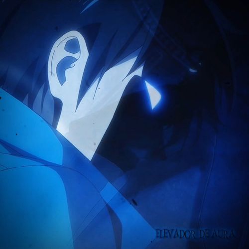 Elevador de Aura