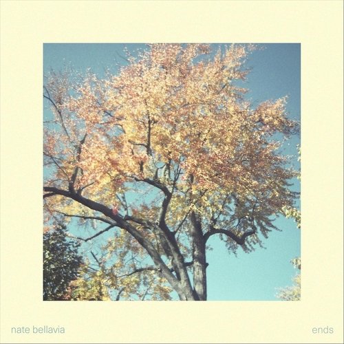 Leaves cover art