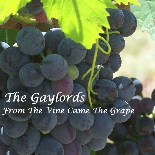 From The Vine Came The Grape