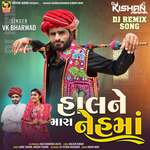 Haalne Mara Nehma ( Dj Remix )