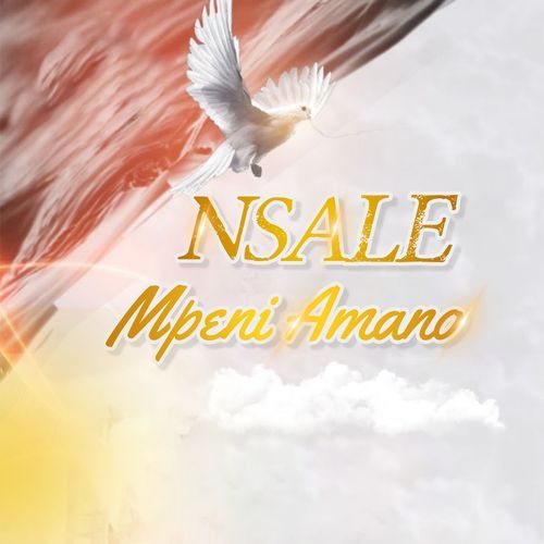 Enzovutikila Ine cover art