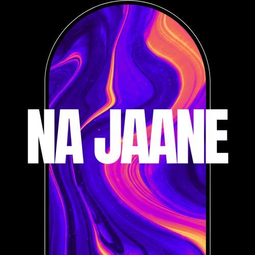 NA JAANE