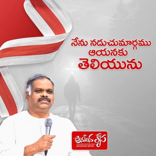 Nenu Naduchumargamu Aayanaku Teliyunu