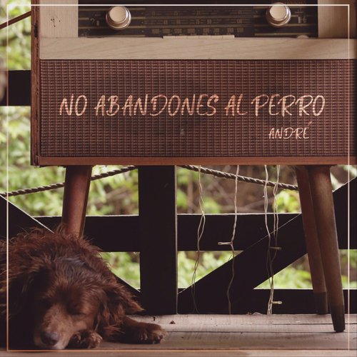 No Abandones al Perro