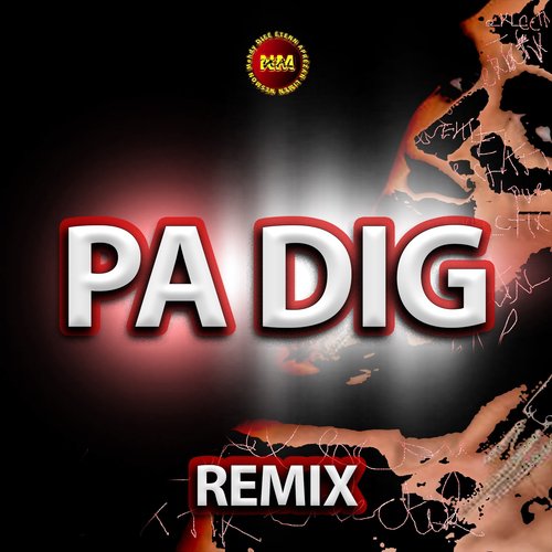 Pa Dig (Remix)_poster_image