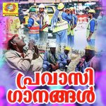 Gulf Nattilulla