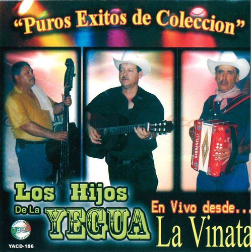 Los Vergelitos cover art
