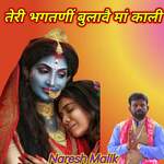Tane Teri Bhagtni Bulave Maa Kali