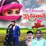 Tere Deewane