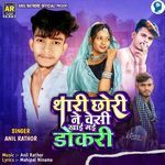 Thari Chhori Ne Vesi Khai Gai Dokari