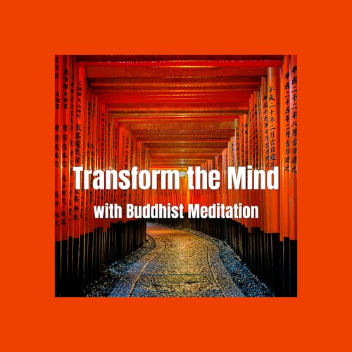 Midnight Meditation cover art