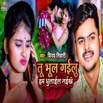 Tu Bhul Gailu Hum Bhulail Naikhe