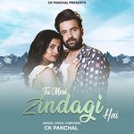 Tu Meri Zindagi Hai (Aashiqui)