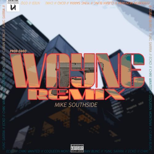 Wayne (Remix) cover art