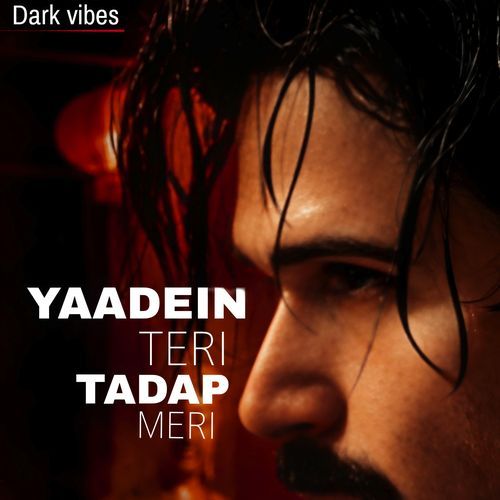 Yaadein Teri Tadap Meri