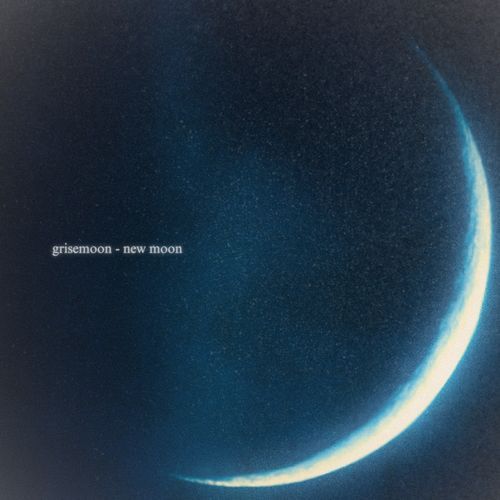 new moon cover art