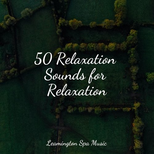 Forest Nature cover art