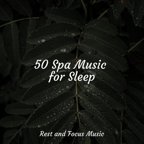 50 Spa Music for Sleep