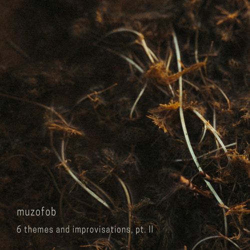 Theme and Improvisation in D-Moll
