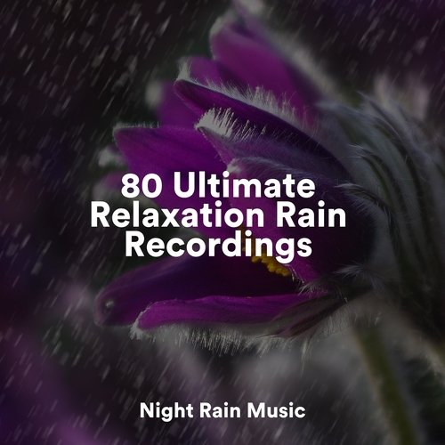 Rain, Storm and Thunder cover art